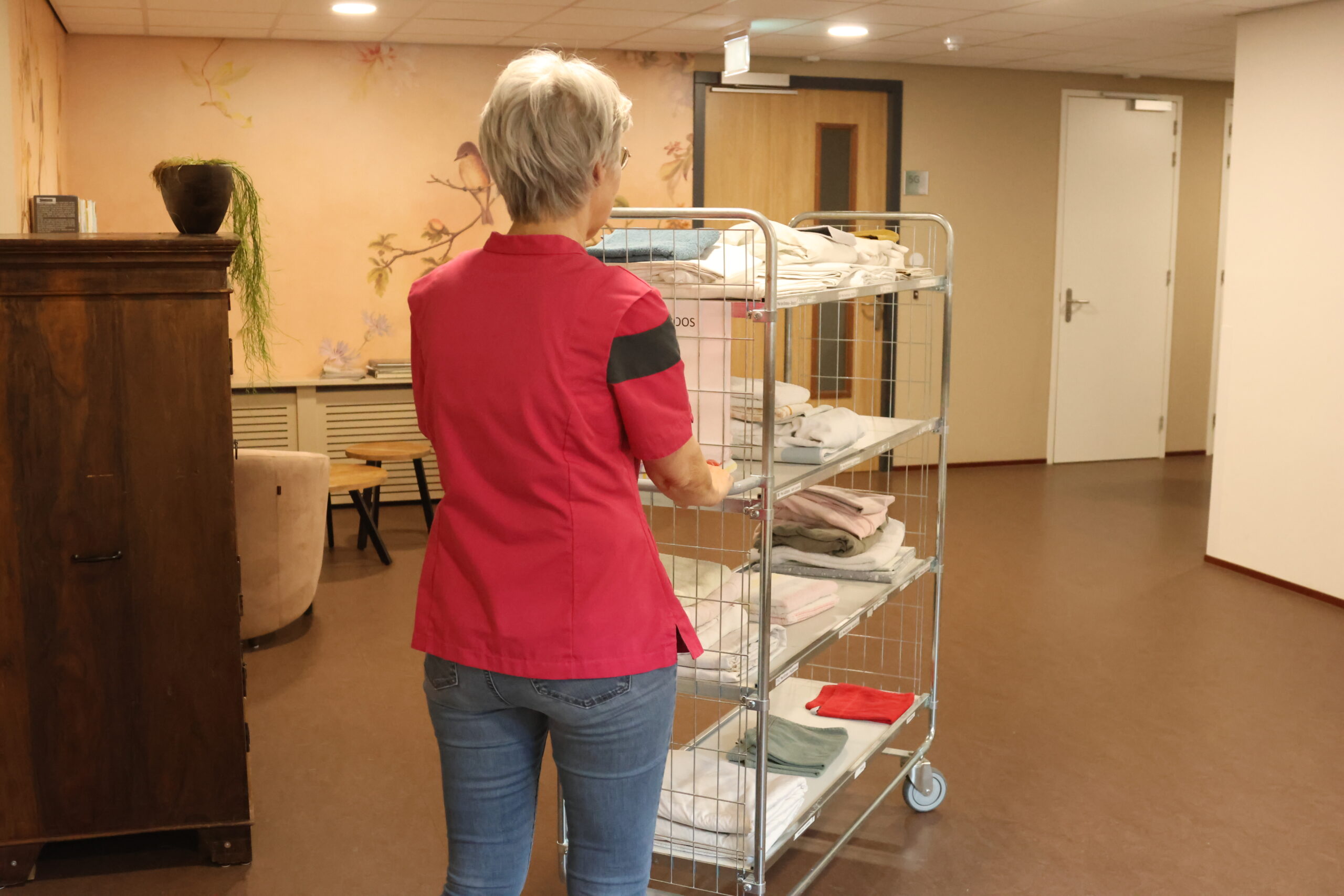 bacillus cereus healthcare linen laundries